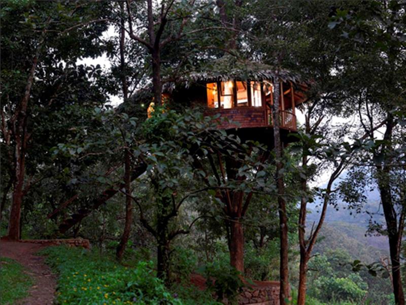 Rainforest Boutique Resort image