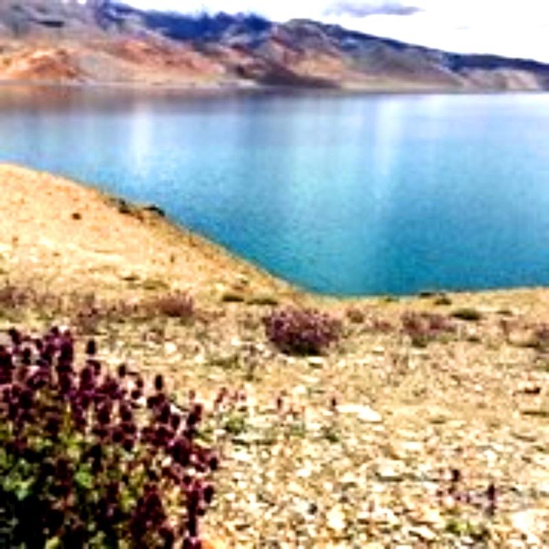 Tsomoriri Hotel Lake View