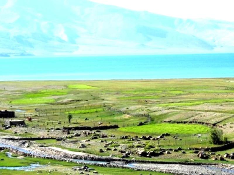 Tsomoriri Hotel Lake View