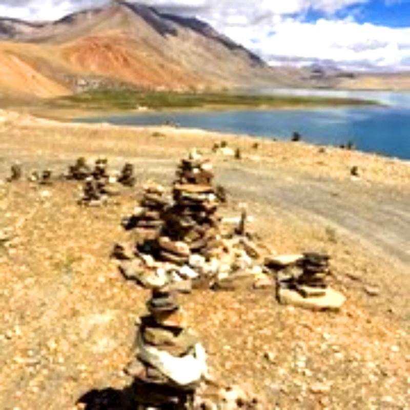 Tsomoriri Hotel Lake View