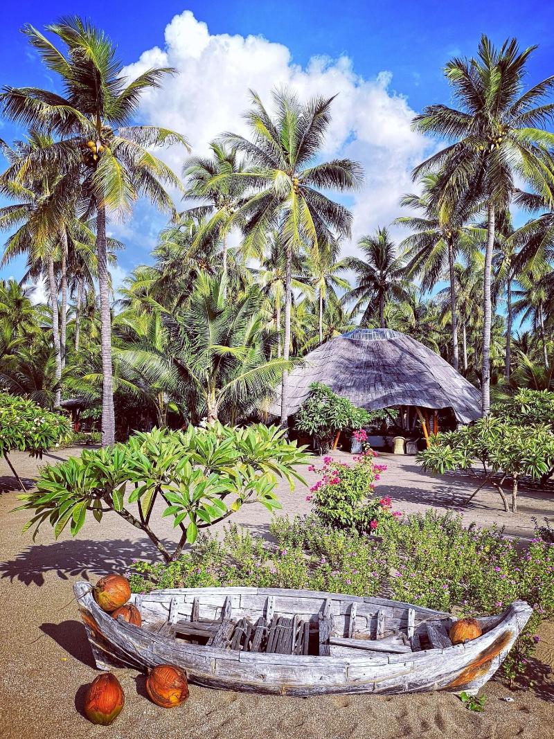 Coconut Garden Beach Resort image