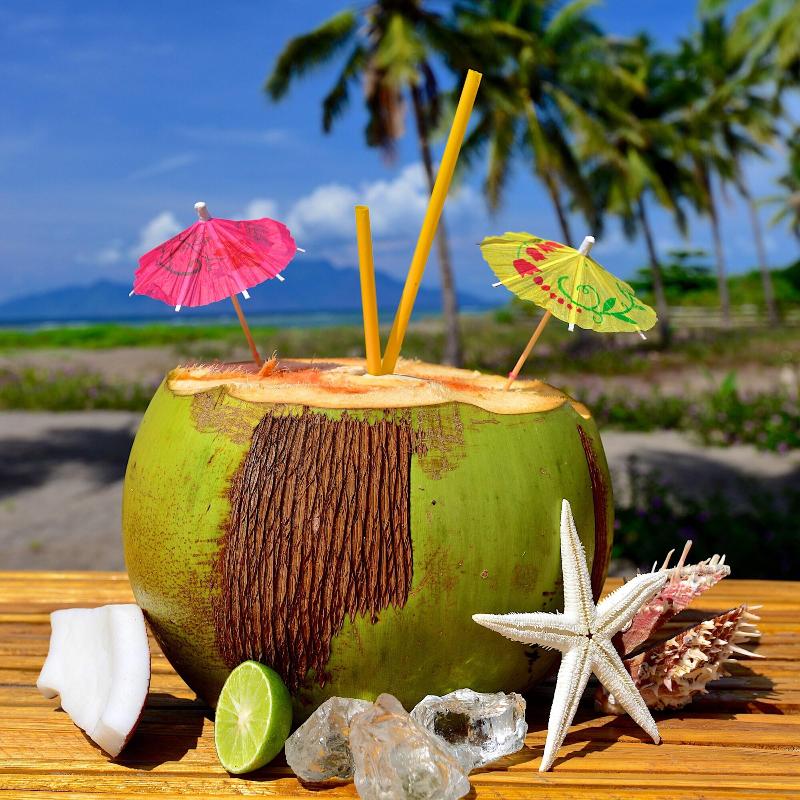Coconut Garden Beach Resort image
