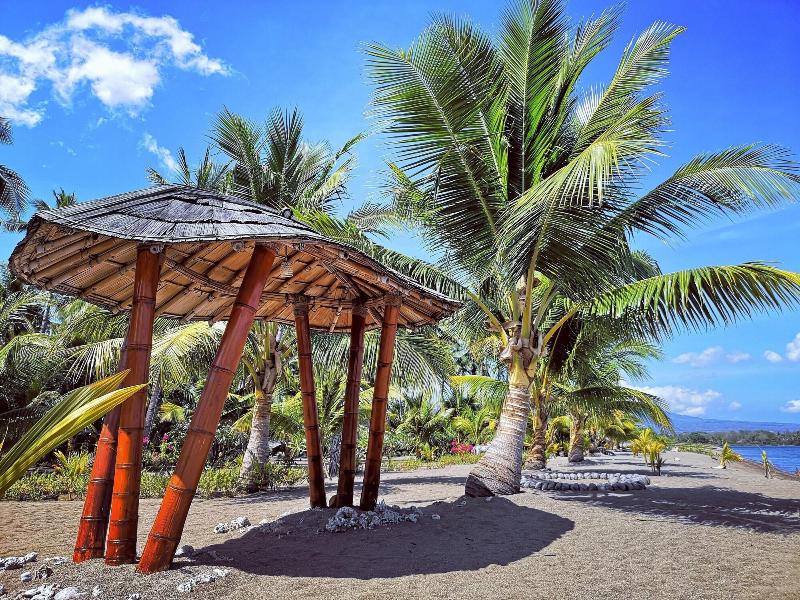 Coconut Garden Beach Resort image
