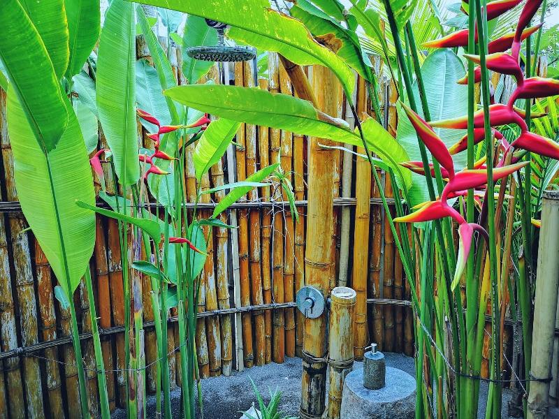 Coconut Garden Beach Resort image