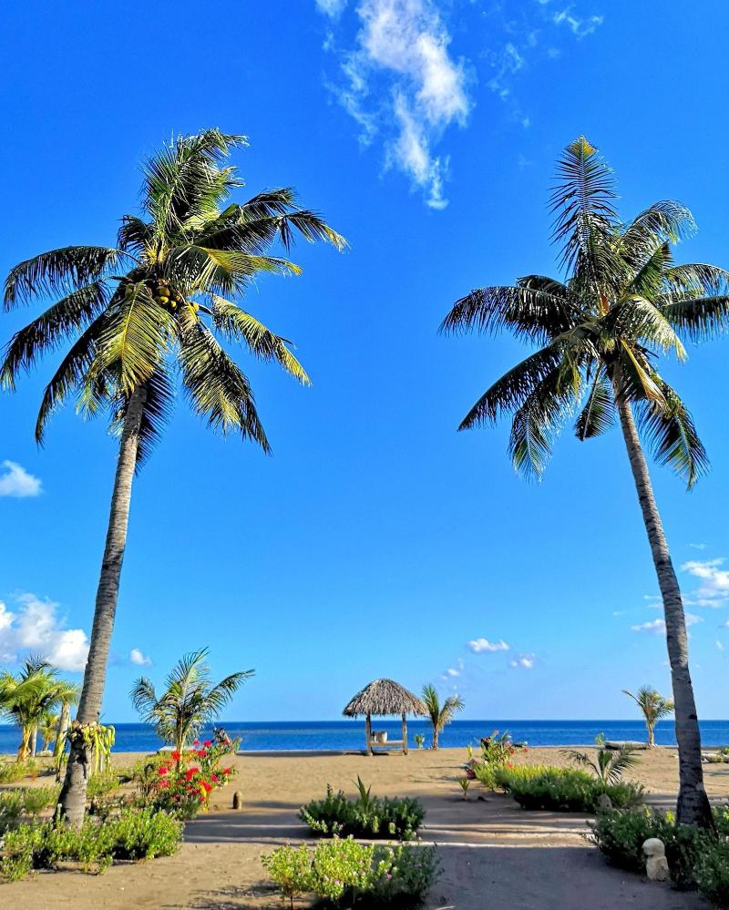 Coconut Garden Beach Resort image