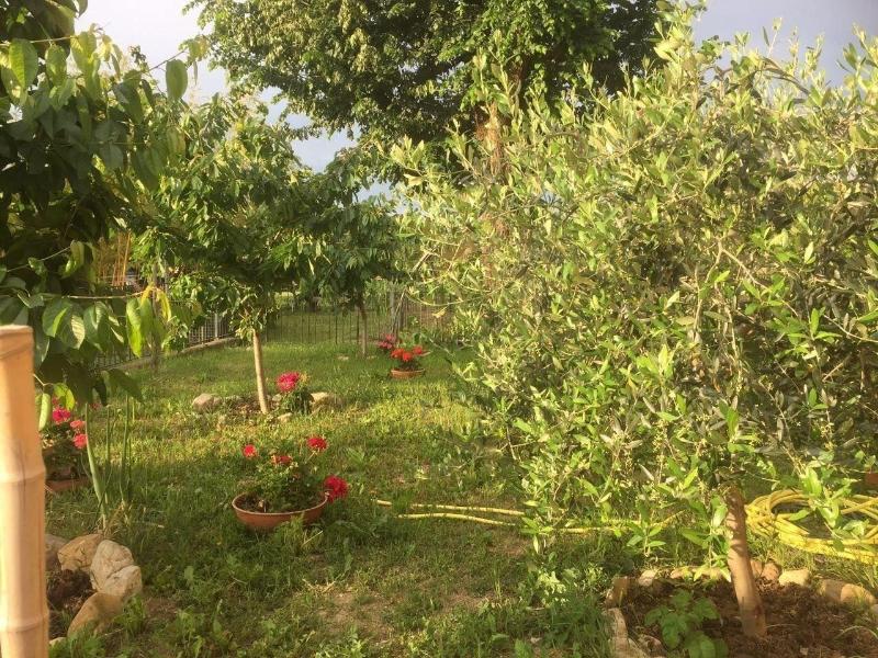 B&B San Giorgio image