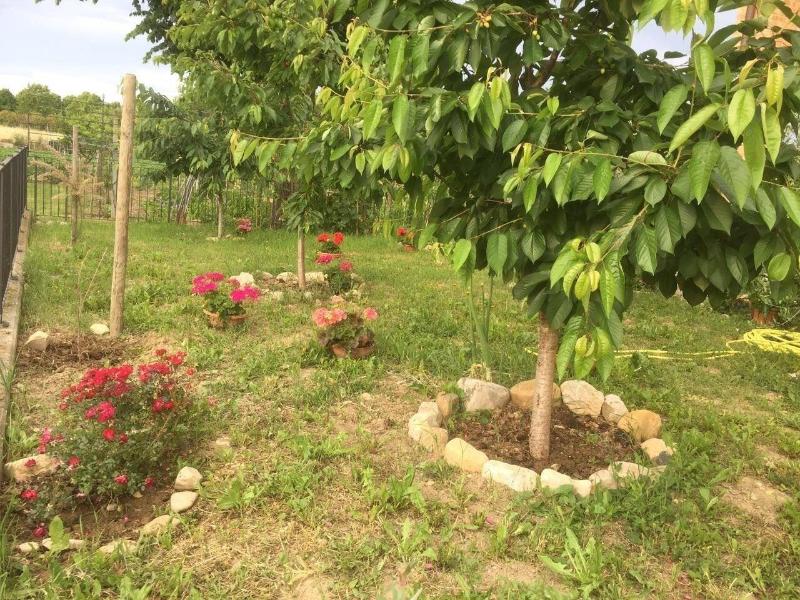 B&B San Giorgio image