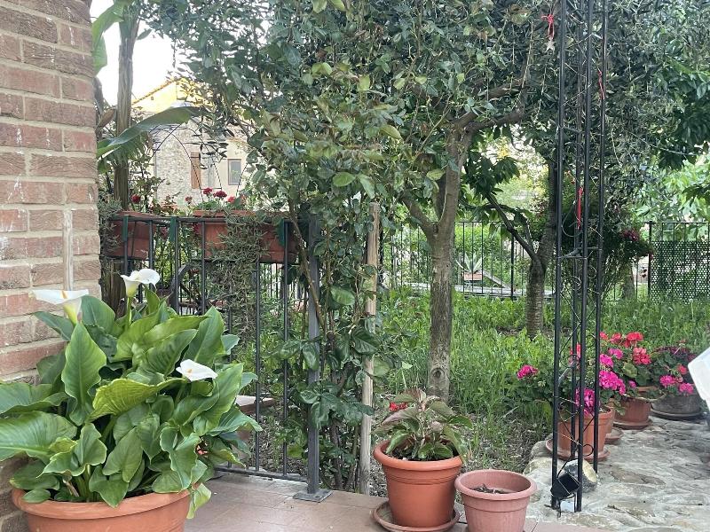 B&B San Giorgio image