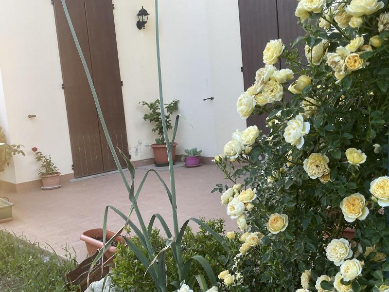 B&B San Giorgio image