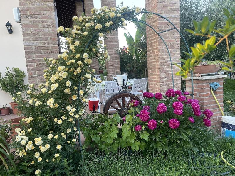 B&B San Giorgio image
