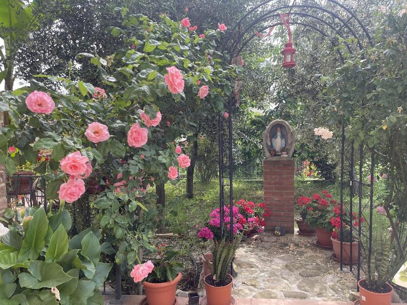 B&B San Giorgio image