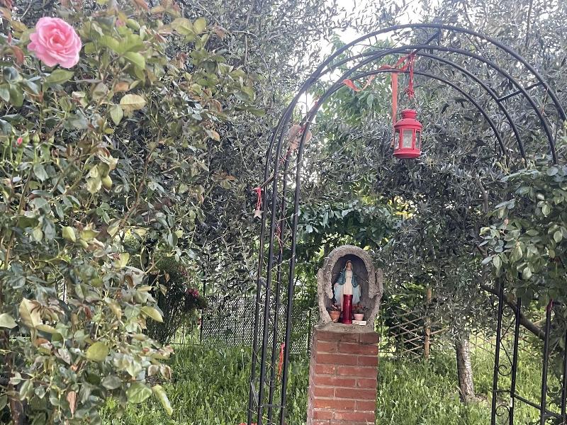B&B San Giorgio image