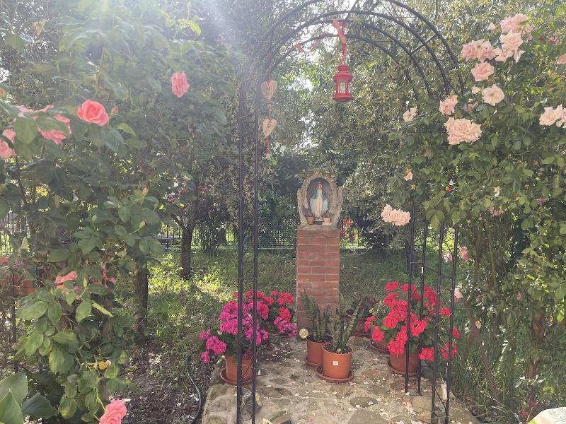 B&B San Giorgio image