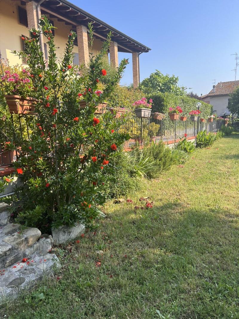 B&B San Giorgio image