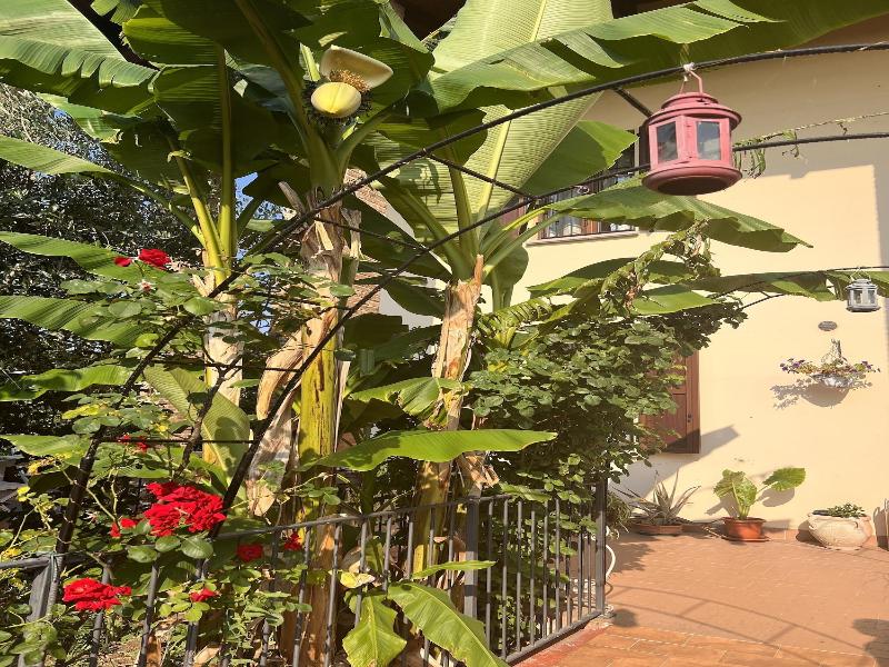 B&B San Giorgio image