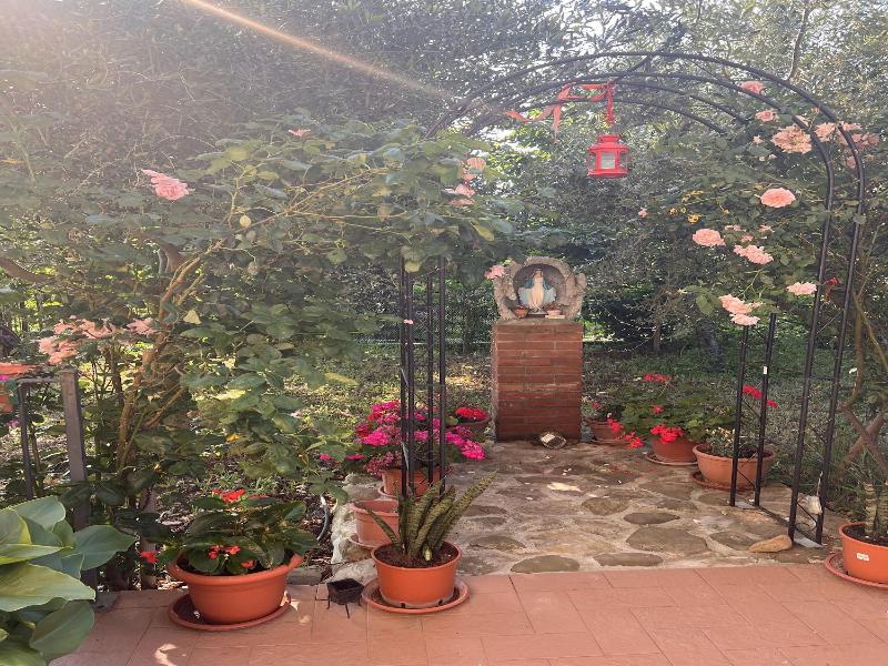B&B San Giorgio image