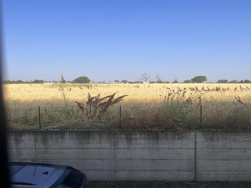 B&B San Giorgio image