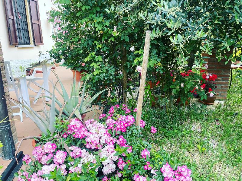 B&B San Giorgio image