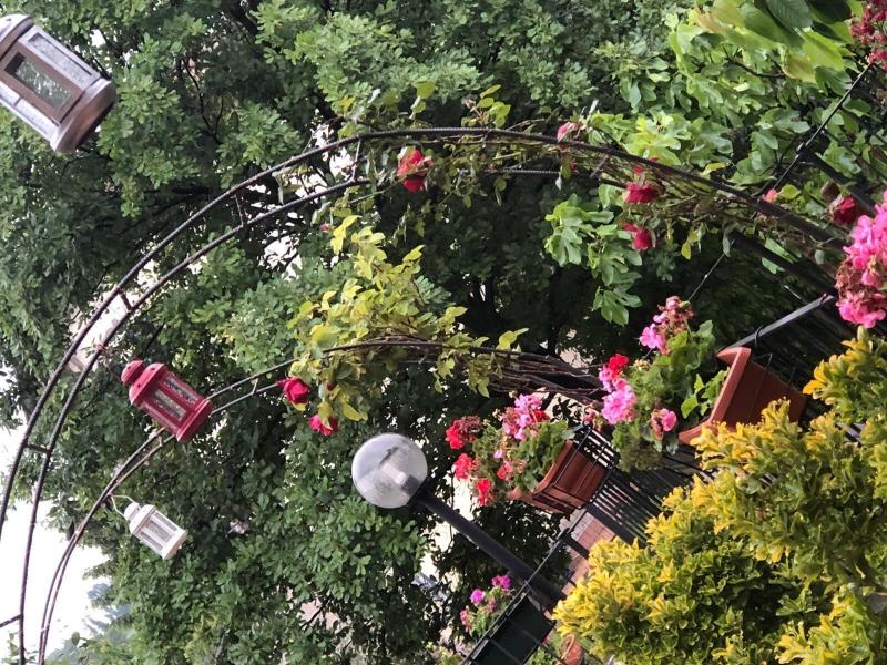 B&B San Giorgio image