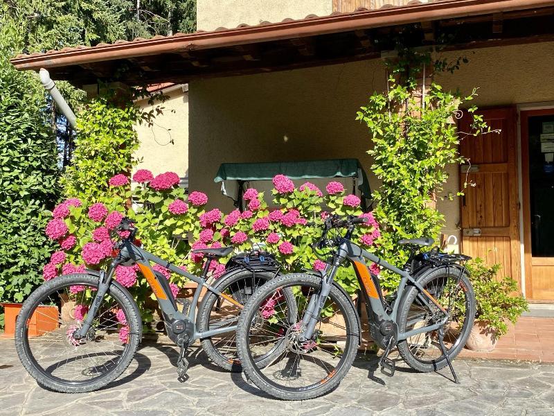 B&B da Ronald...a Pian del Papa image