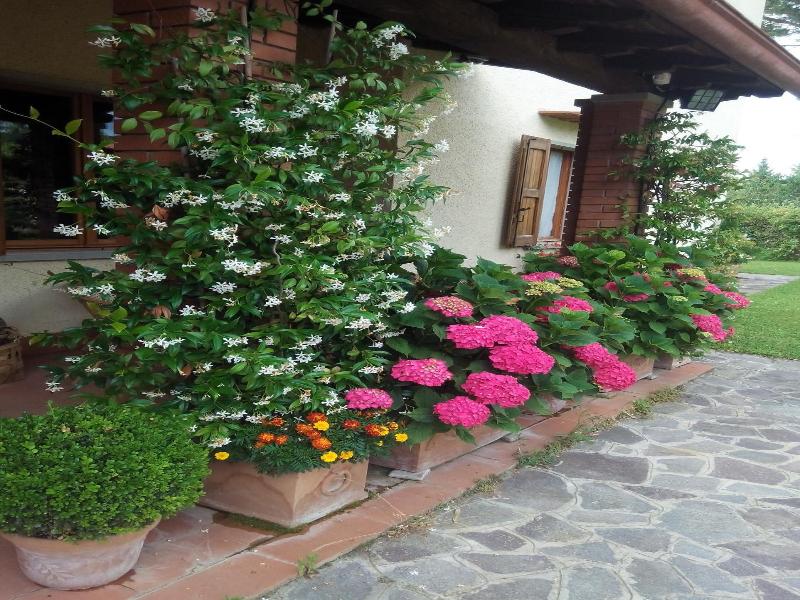 B&B da Ronald...a Pian del Papa image
