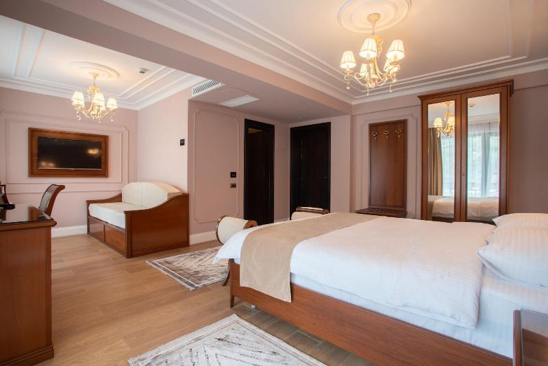 Hotel Gabriela image