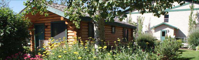Flying Saddle Resort image
