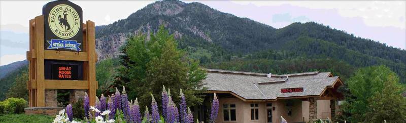 Flying Saddle Resort image