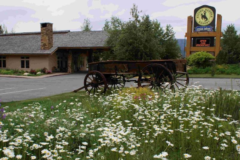 Flying Saddle Resort image