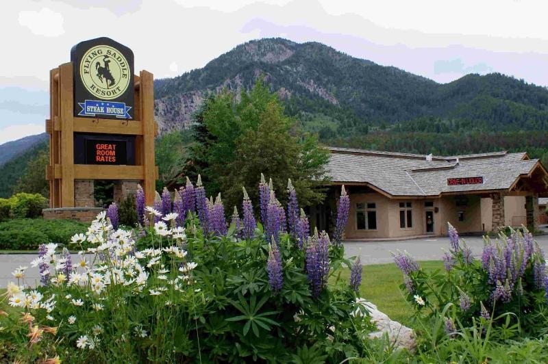 Flying Saddle Resort image
