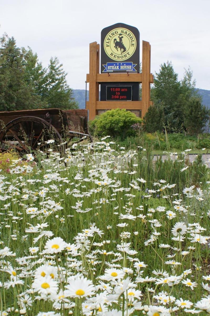 Flying Saddle Resort image