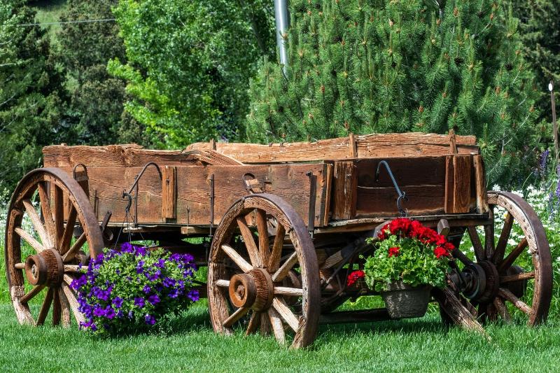 Flying Saddle Resort image