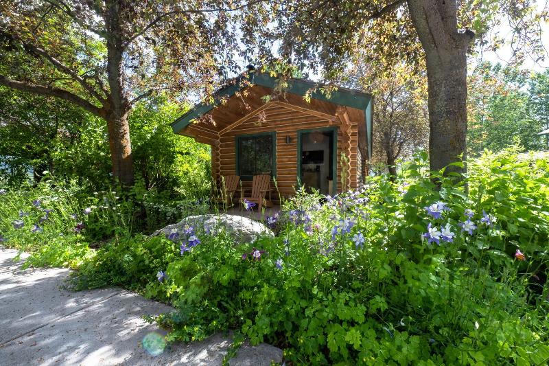 Flying Saddle Resort image