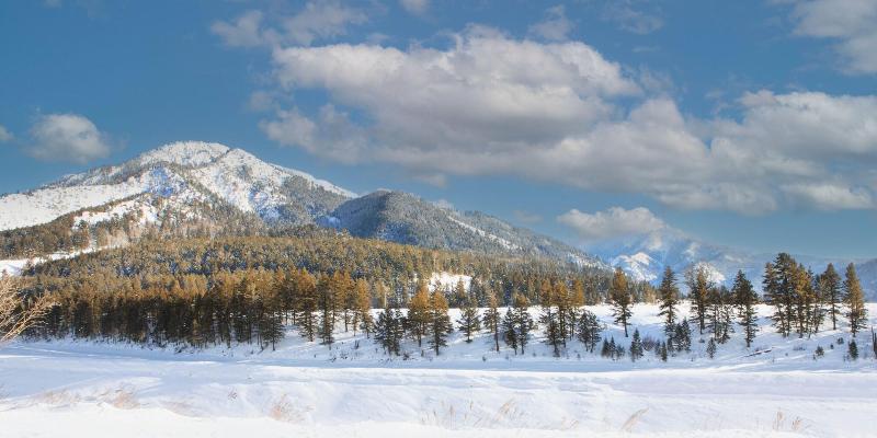 Flying Saddle Resort image