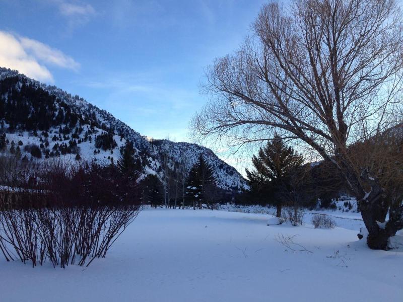 Flying Saddle Resort image