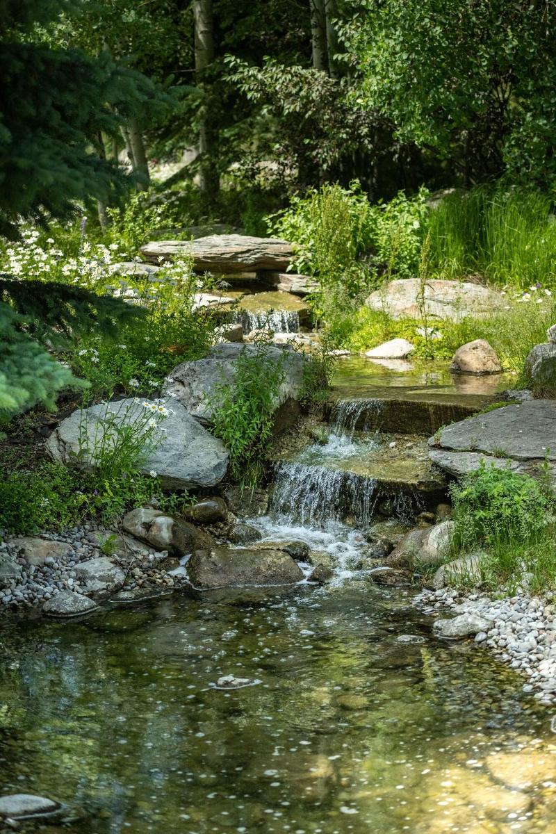 Flying Saddle Resort image