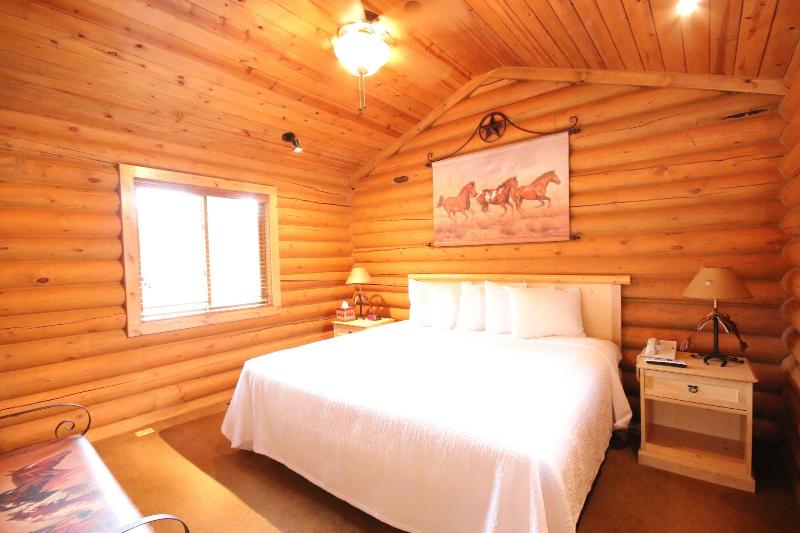 Flying Saddle Resort image