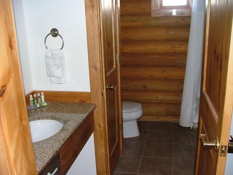 Flying Saddle Resort image