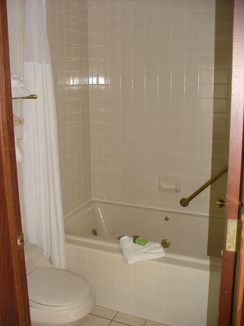 Flying Saddle Resort image