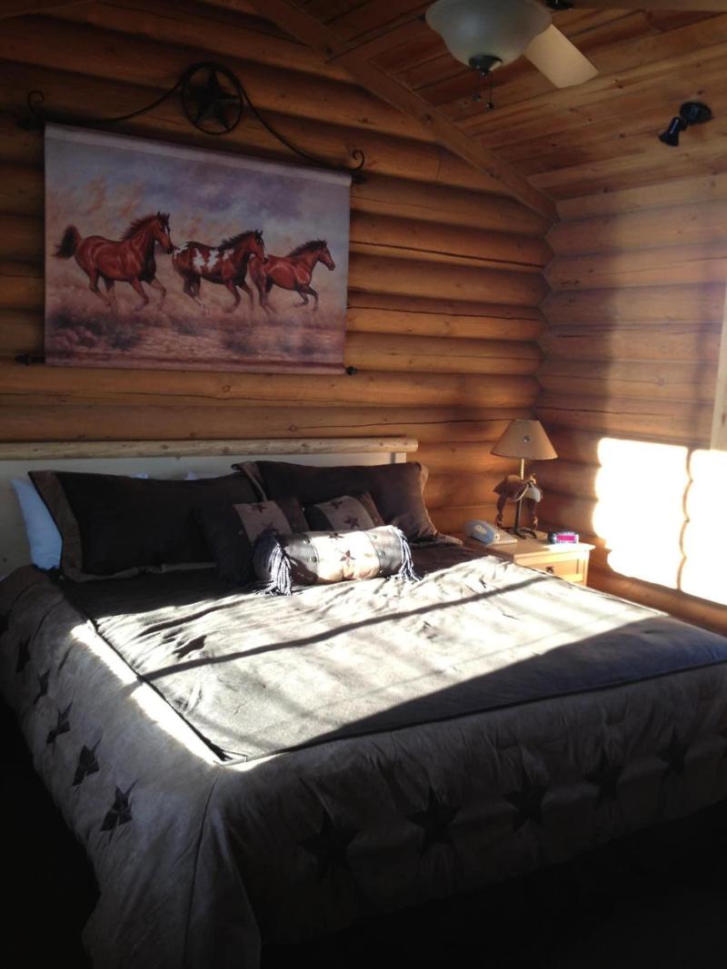 Flying Saddle Resort image
