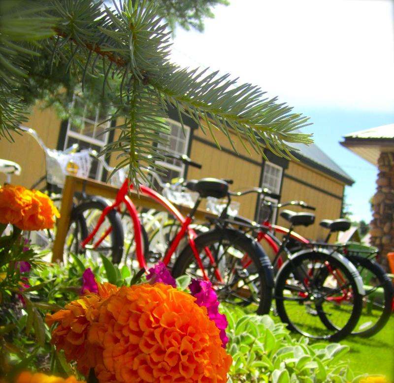 Compass Rose Lodge image