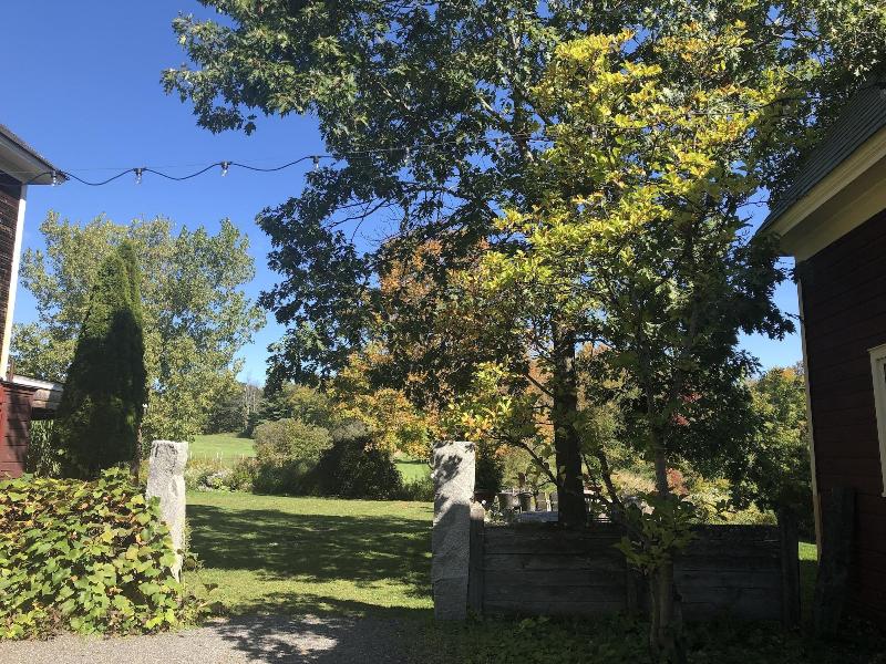 Gedney Farm image