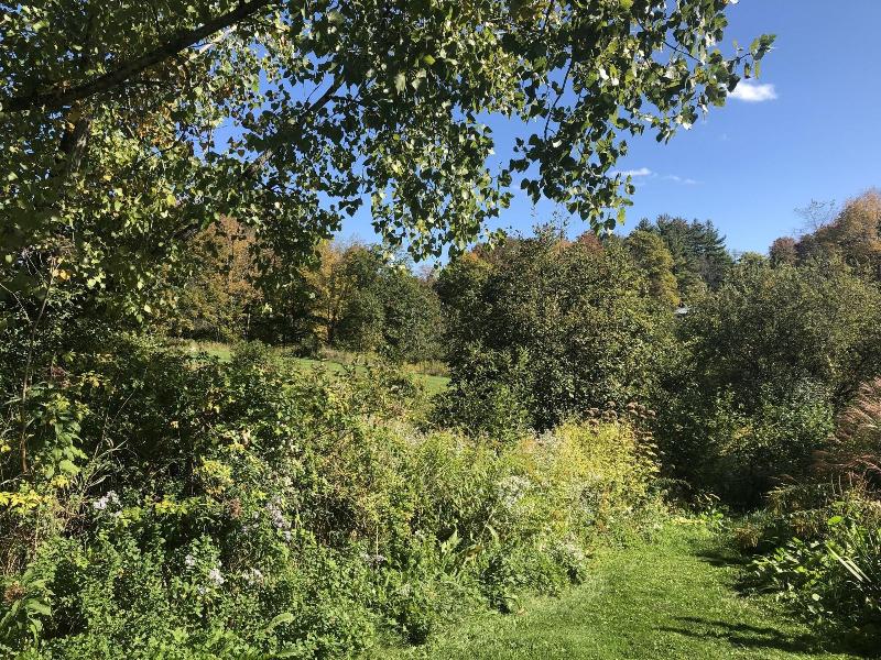 Gedney Farm image
