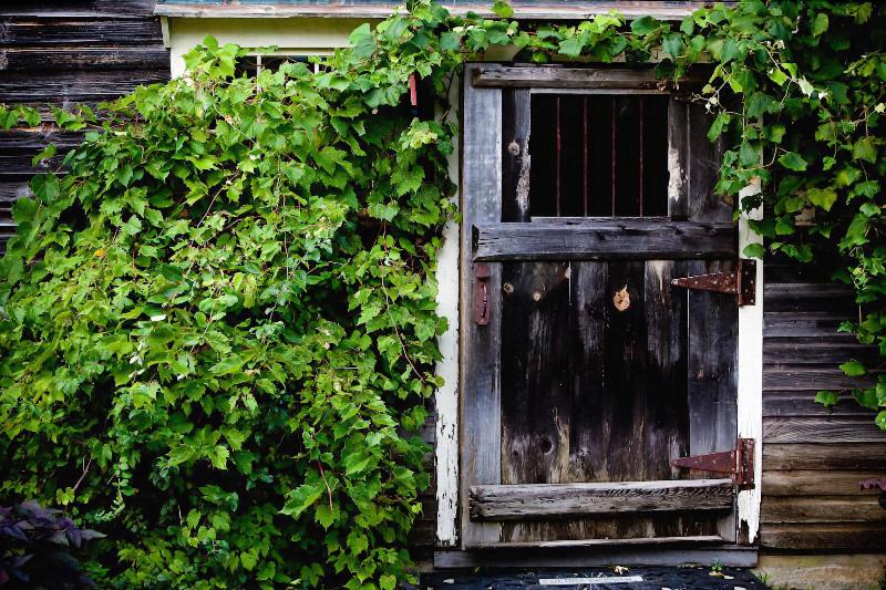Gedney Farm image