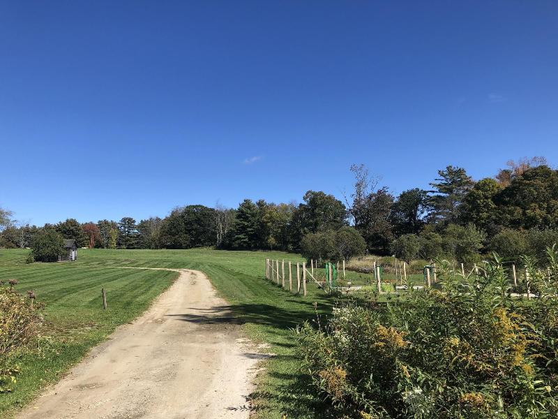 Gedney Farm image