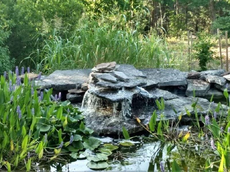 Beaver Lake Heavenly Hideaway — photo 3