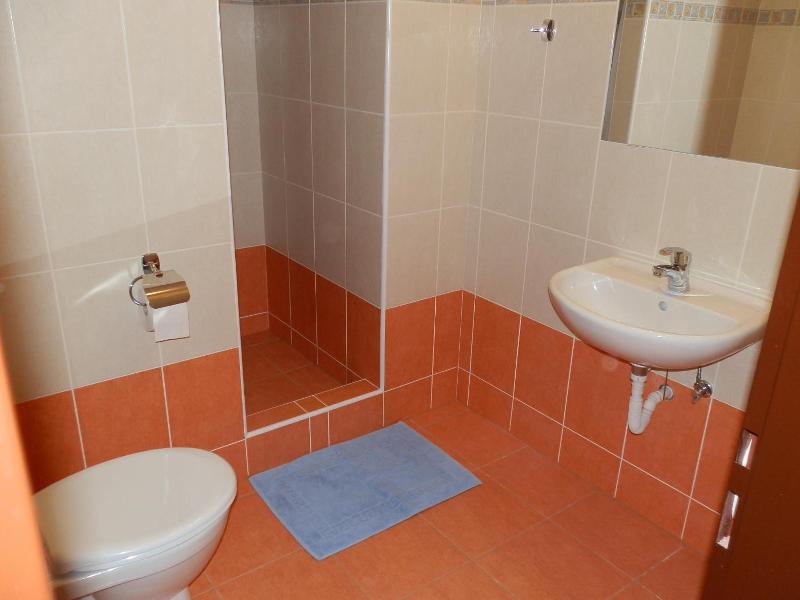 Hotel Gól Prostějov image