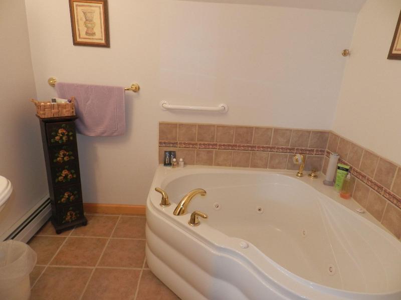Berkshire Mountain House image