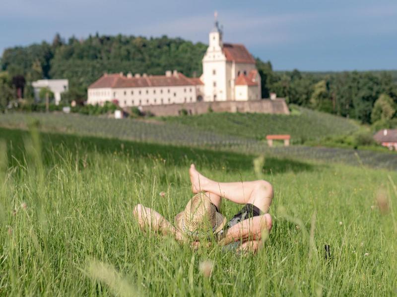 Landgasthof Riegerbauer image