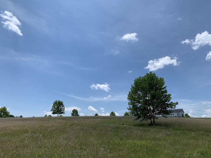 Loudoun Valley Manor image